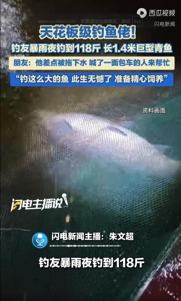 暴雨夜钓上118斤巨青鱼！广西河池，一大哥趁着暴雨，深夜在水库垂钓，结果一条