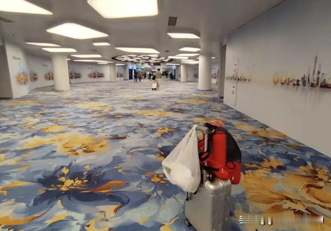 网友热议：番禺投入巨大却发展不及预期，南沙地铁冷清，反而从化才是民心所向广