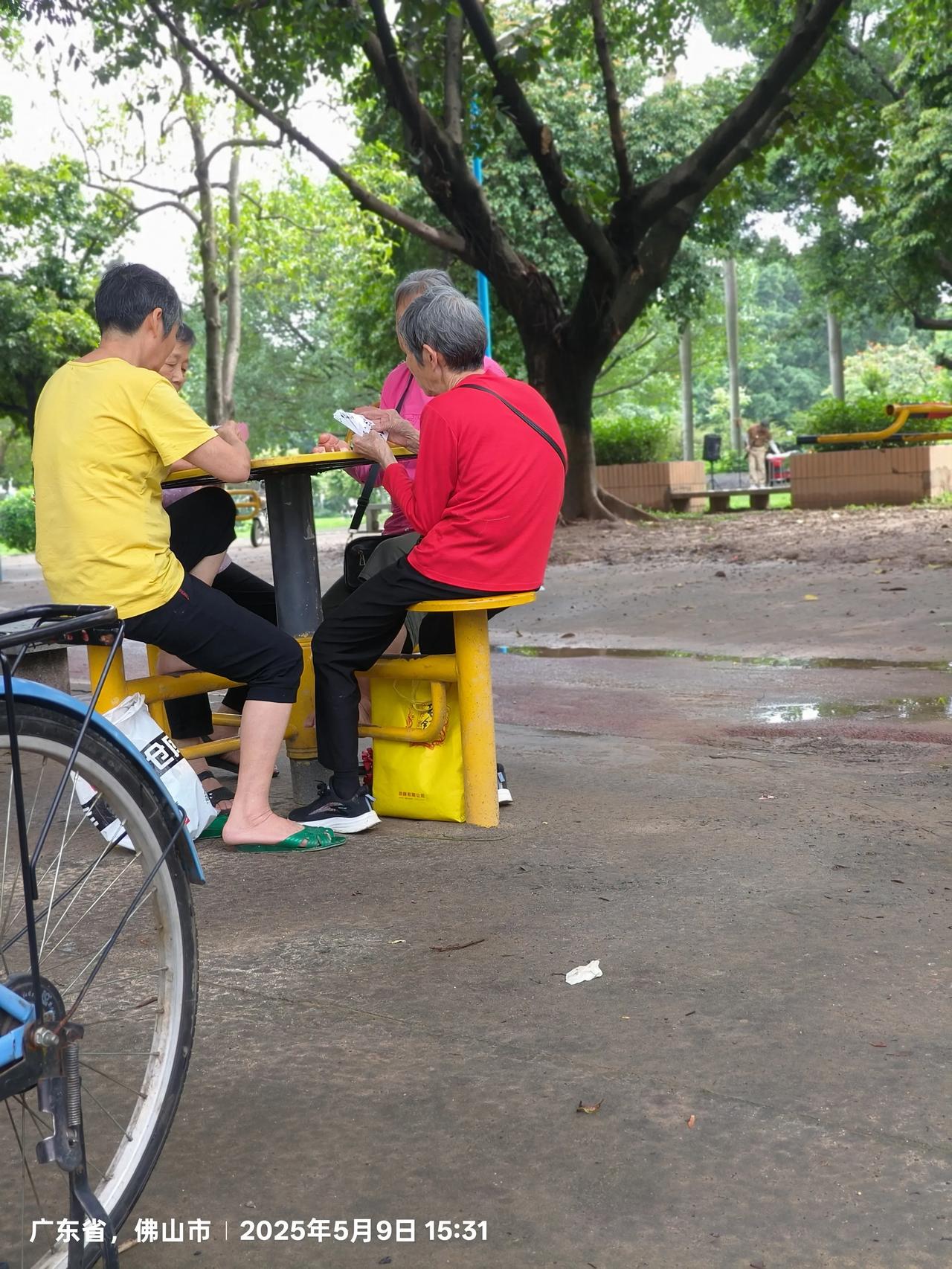 真是时代改变一切，官窑草暖公园的几大现象如今全没见了。今天特意去了一次官窑的草