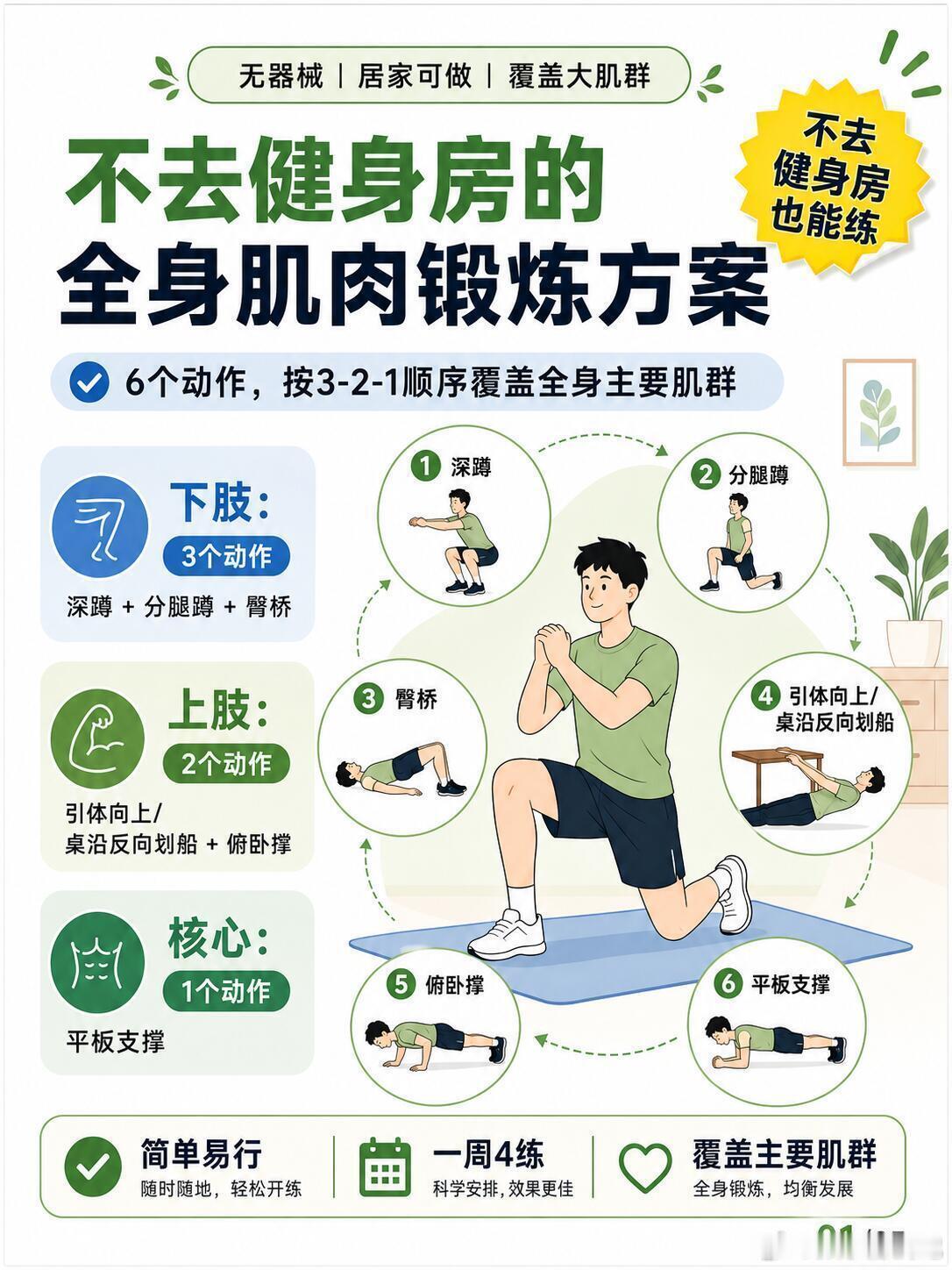 不去健身房也能练全身肌肉，记321就够了，想增肌练练肌肉但想先试一试，先不到去健