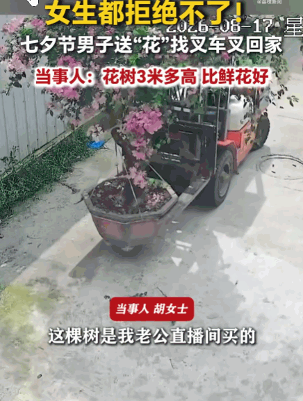 女生都拒绝不了！河南信阳，一男子在直播间买了一棵花树送给妻子。没想到树运到后高达