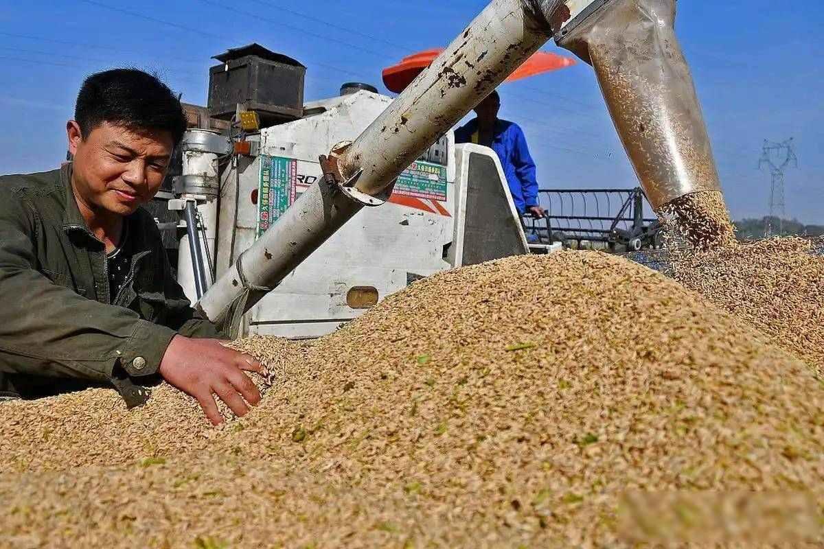 巴西豆堆成山，中国说不买就真不买，全球粮贸悄悄换牌2025年10月，巴西圣保