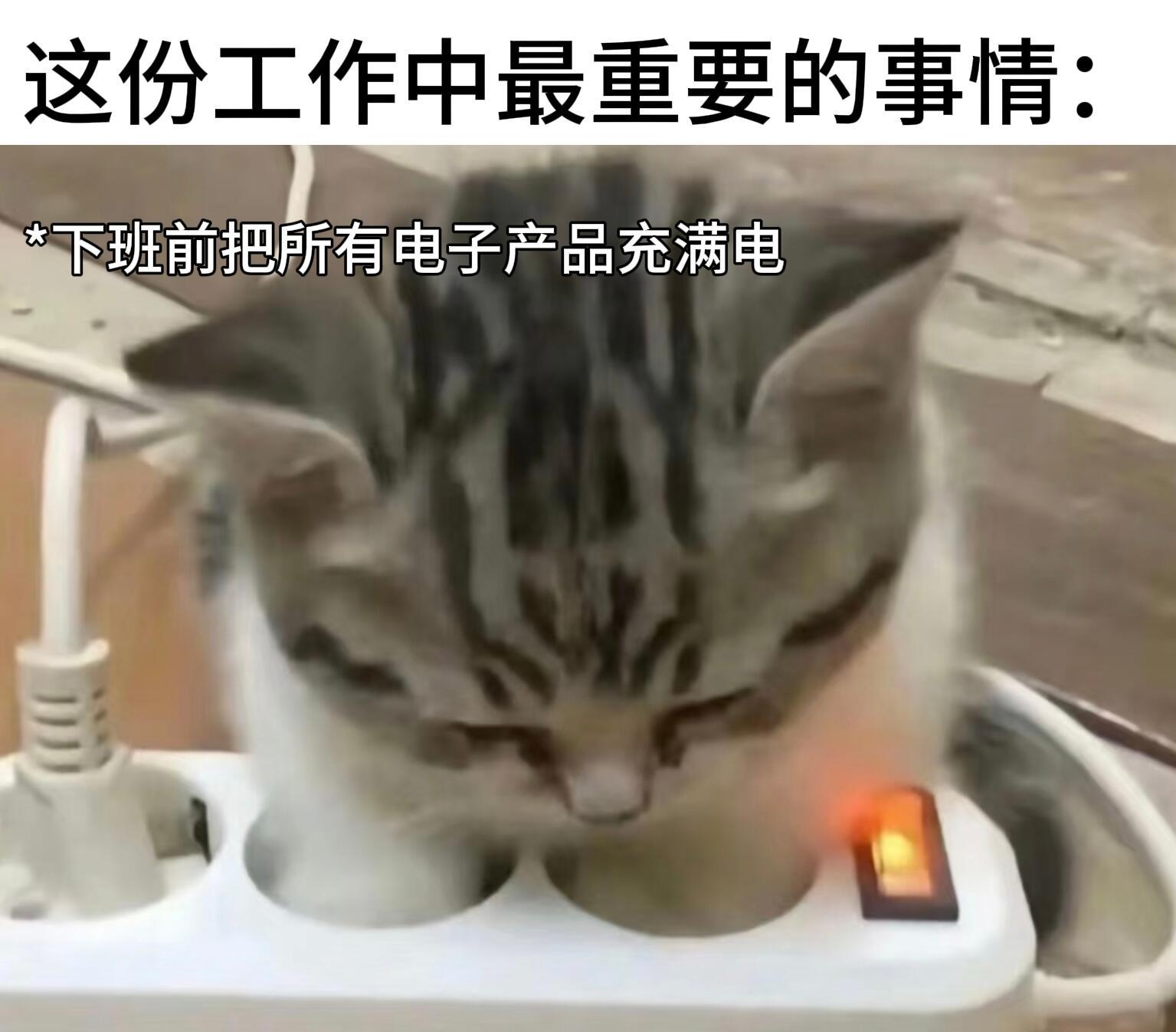 打寒假工的小猫memememe