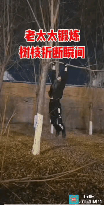 这是老眼昏花了吗？还是低估了自己的体重，这么细的树枝就上去做高难动作，也不看看自