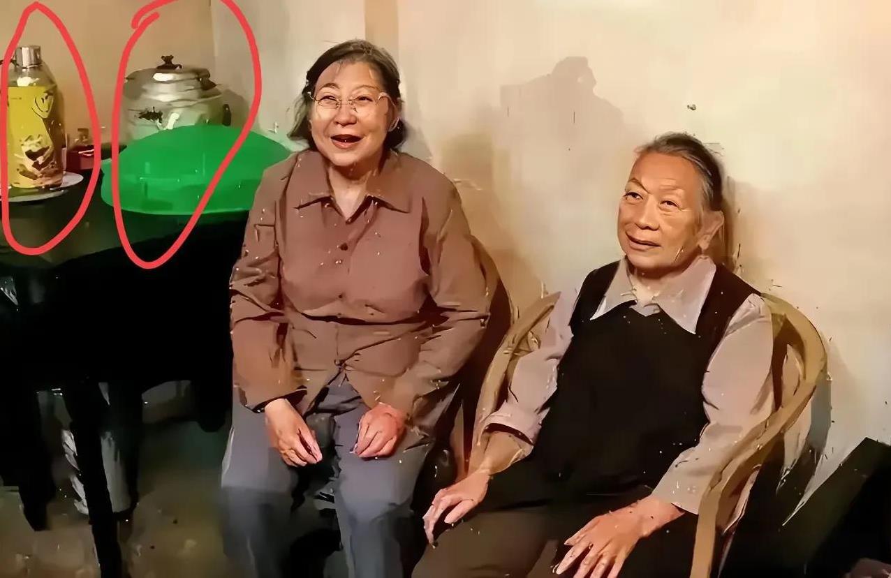 照片里，李敏与李讷坐在藤椅上，虽已至耄耋之年，周身却散发着岁月沉淀后的平和。她