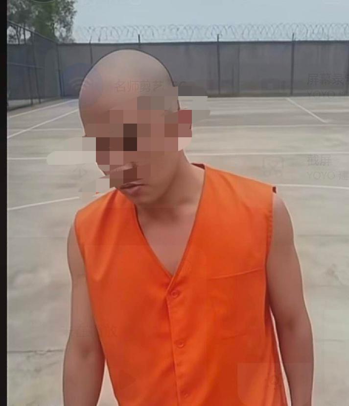 老金毛撂挑子了，被金毛的事情搞崩溃了，彻底放弃金毛了老金毛最近心情非常