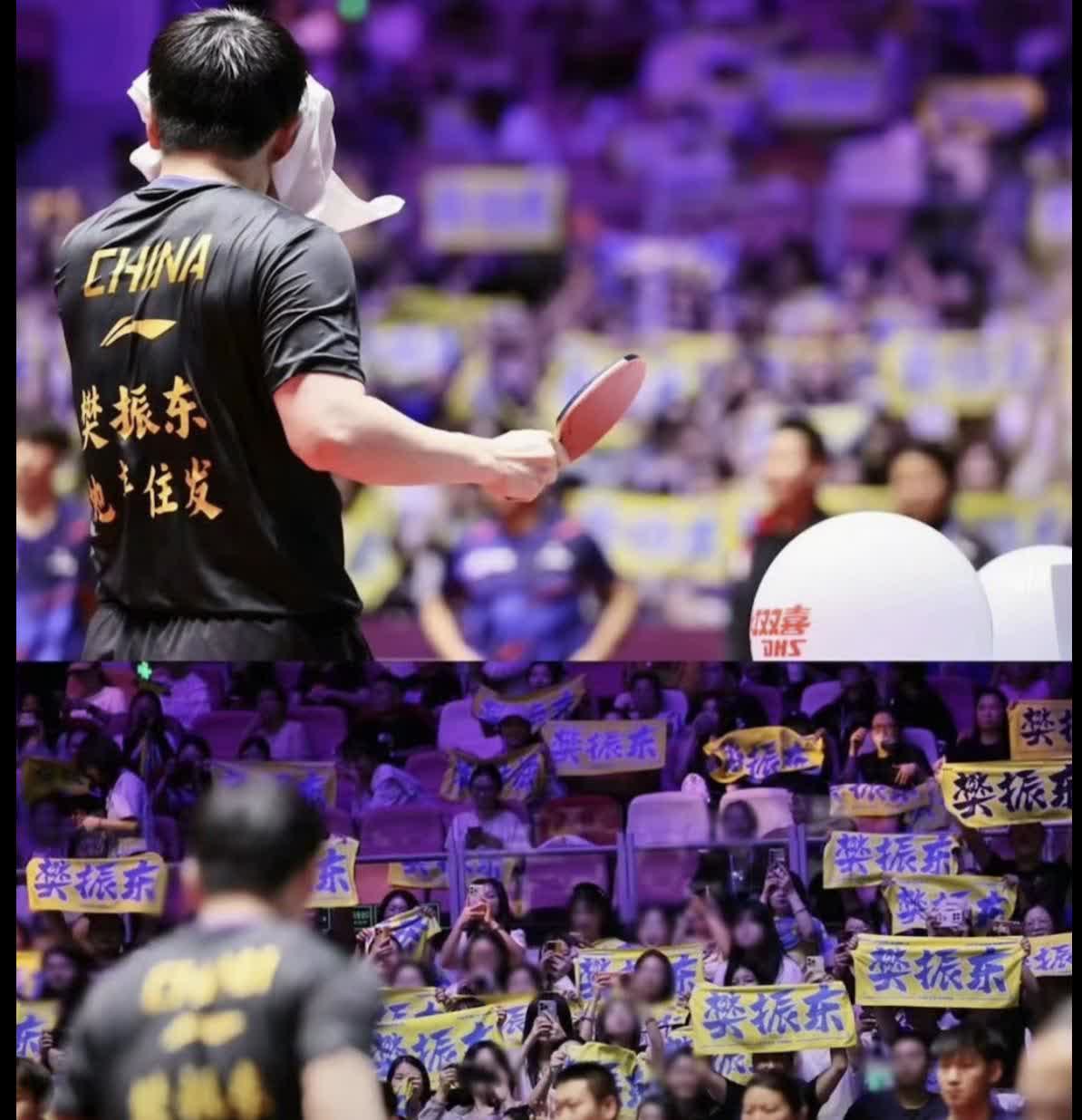 樊振东能否回归，从来不由他自己做主，最终决定权在教练组手中。可这支教练组成员多来