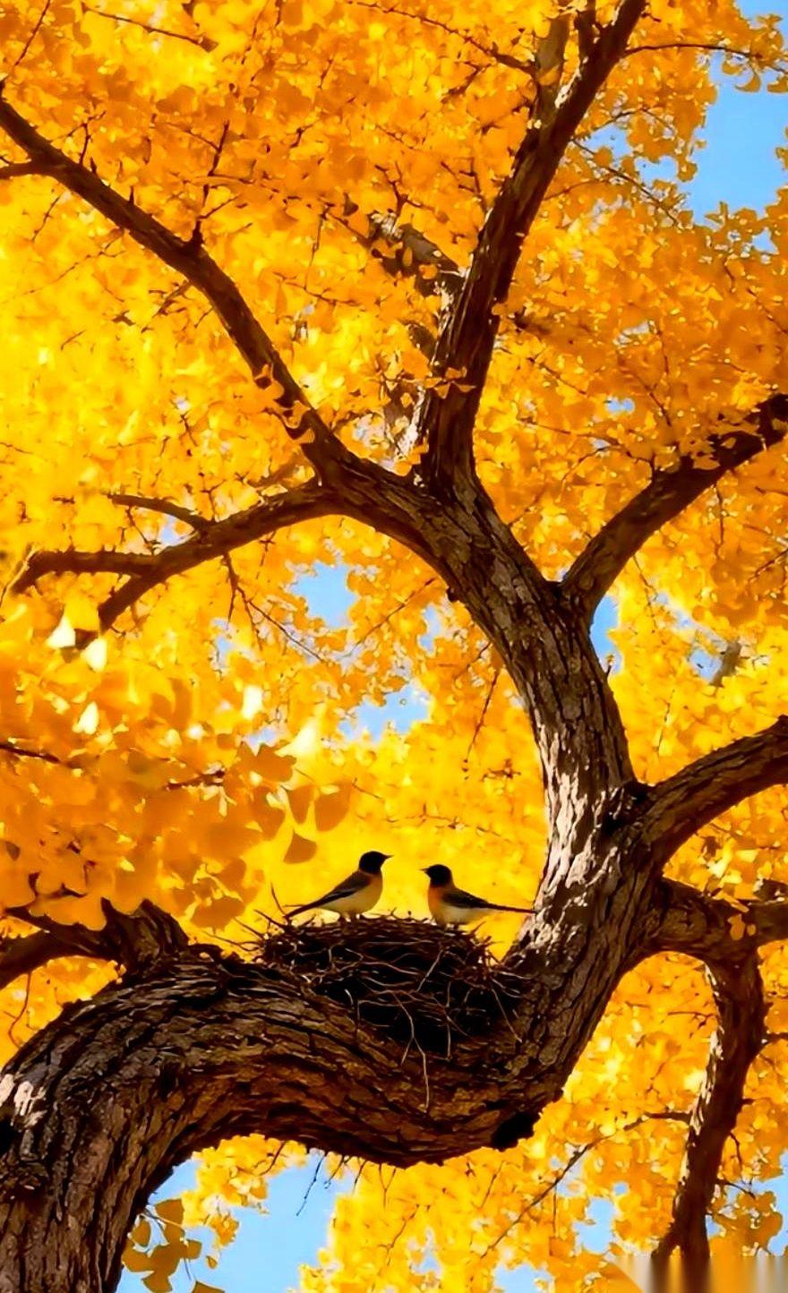 去年年底那波，全家挨个儿倒下，就一个七十多的老爷子，P事没有。他老伴儿都笑：“