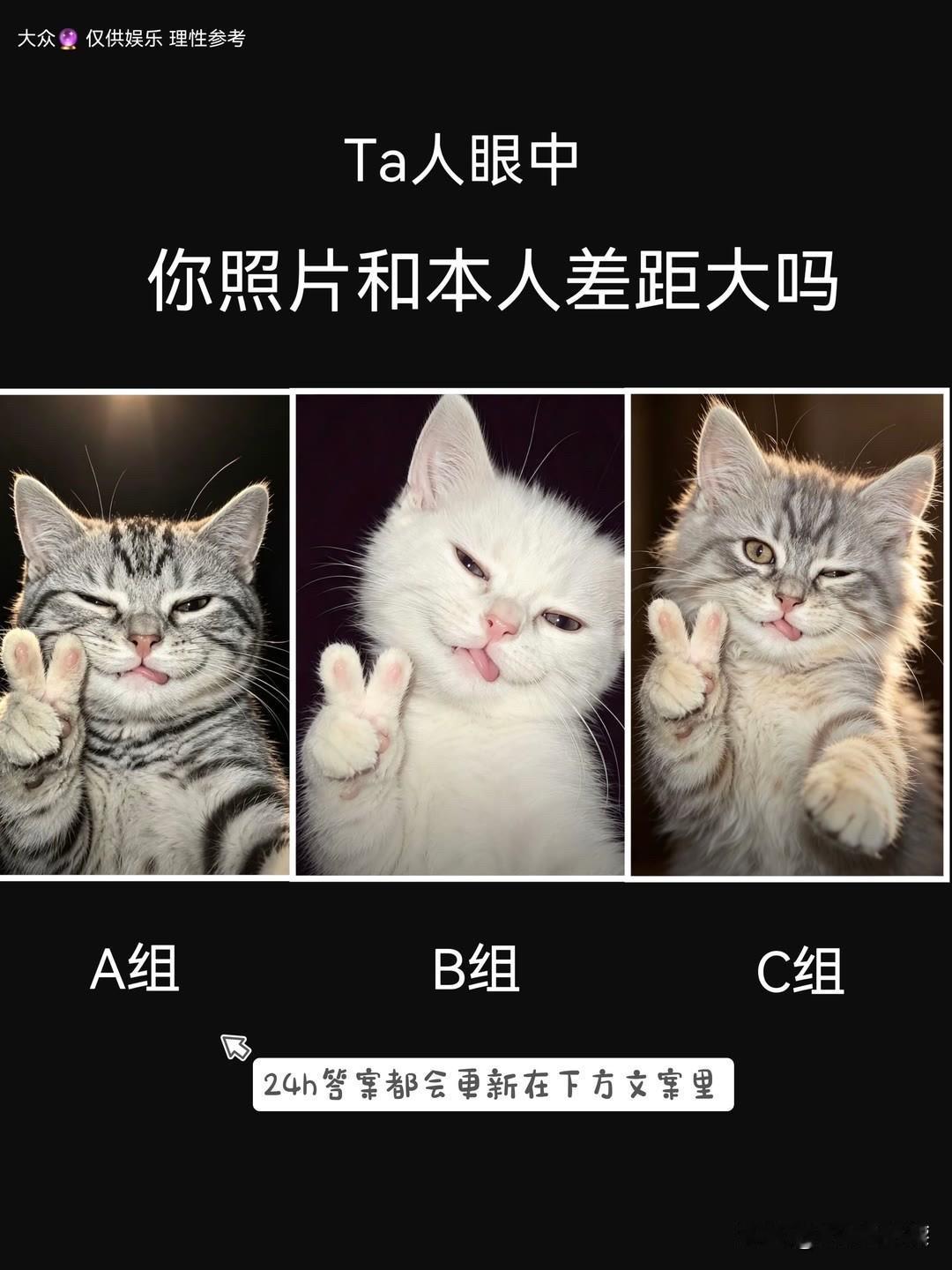 你照片和本人差距大吗