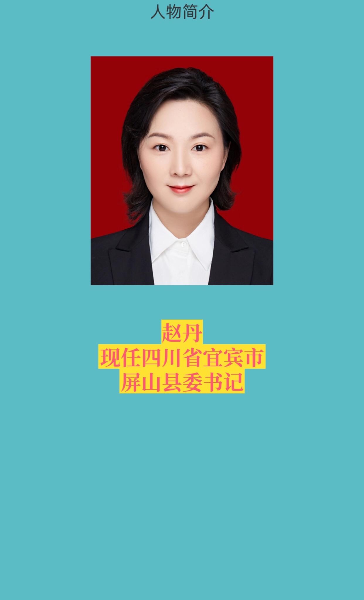 四川宜宾各区县书记。