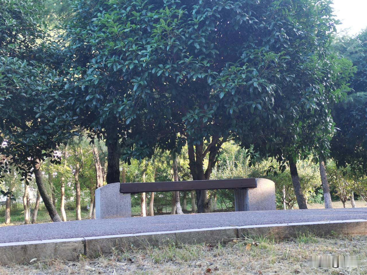 一位退休的媒婆说：“找对象，一定要找那些家境原本就好的，千万别找那些靠拼命读