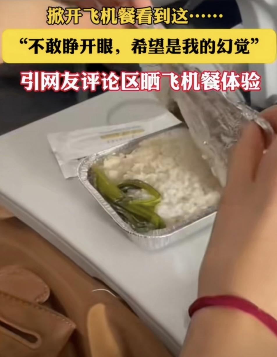 女子吐槽飞机餐只有一根青菜配米饭？网友：这摆拍也太明显了！2月6日，一段“