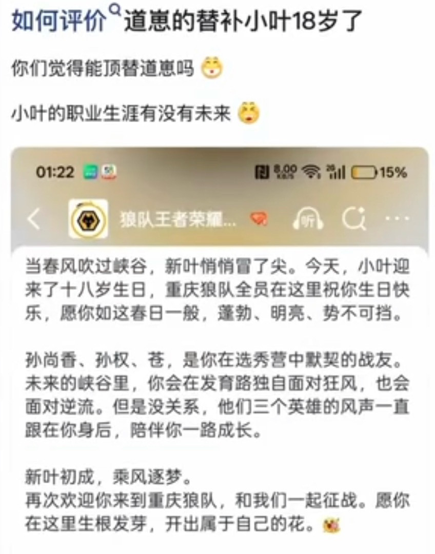 kplK吧热议：如何评价道崽的替补小叶18岁了，能顶替道崽吗