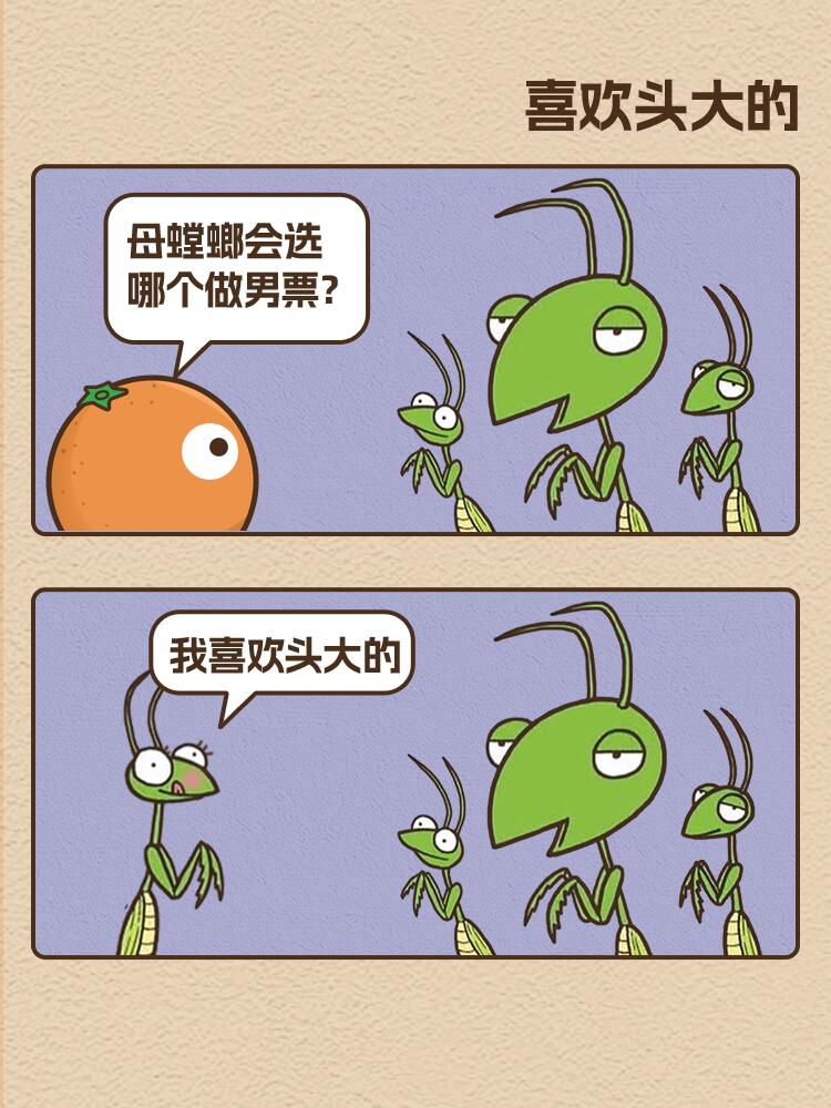 螳螂的笑话，笑死我了