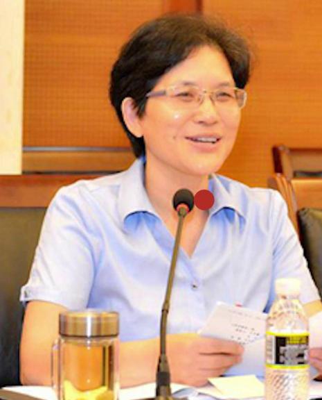 打麻将被偷拍牵出大案！2019年，海南高院原副院长张家慧打麻将被人偷拍，遭遇敲诈