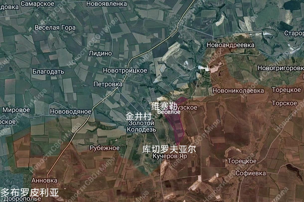 俄军中部集群占领了库切罗夫亚尔北面的维塞勒，进一步强化对金井村的包围态势。俄军