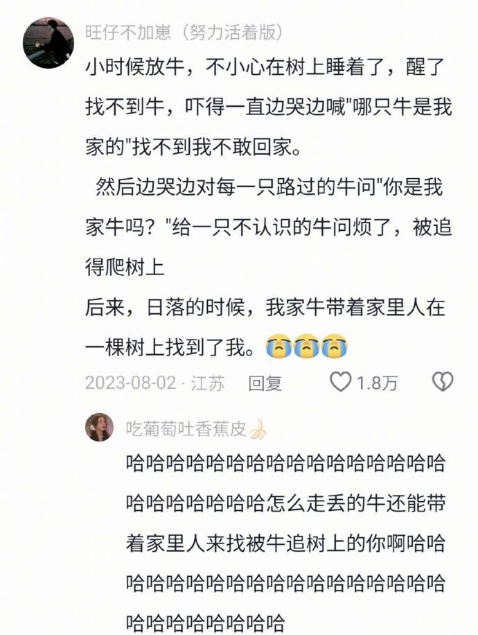 走丢的牛带着家里人找到被陌生牛赶上树的主人，牛真的太通人性了哈哈哈哈哈哈哈哈哈哈