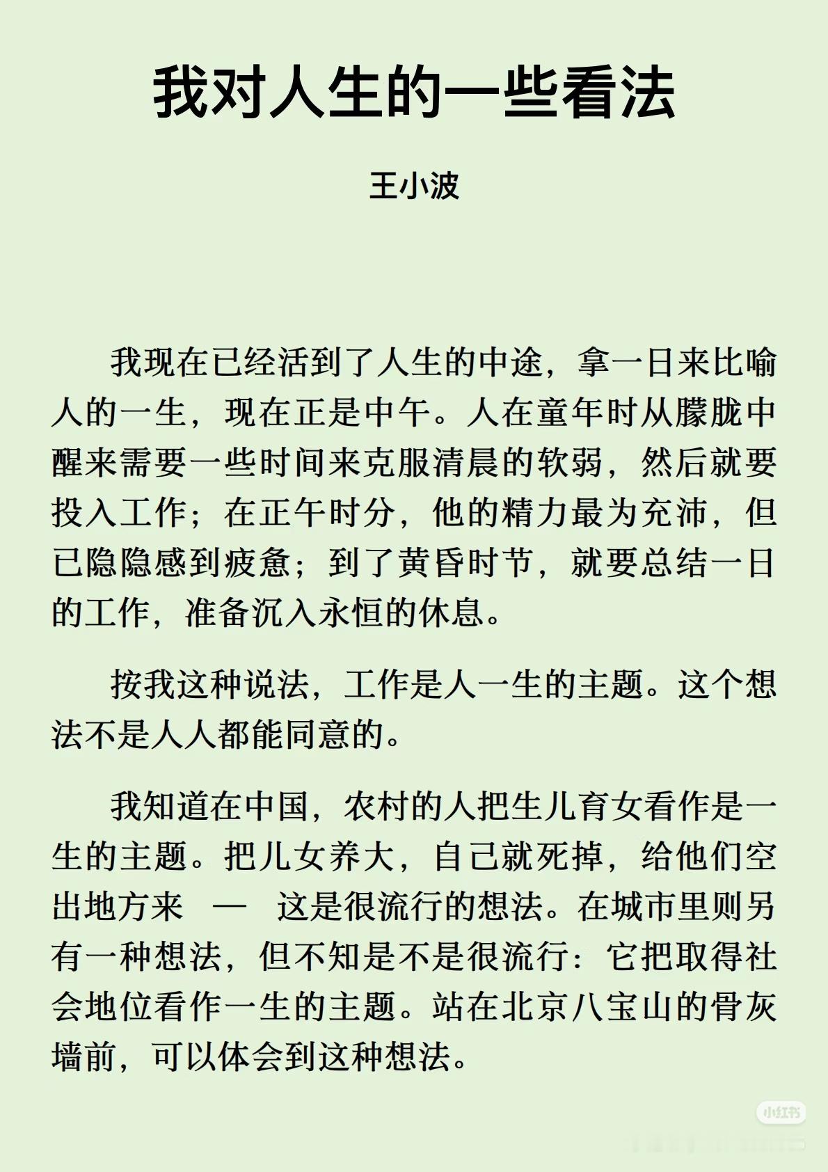 《我对人生的一些看法》作者:王小波