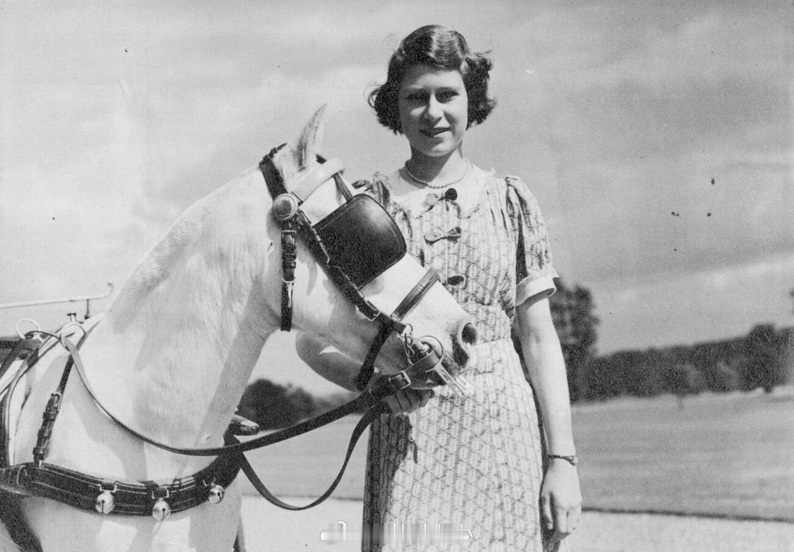 英国王室1940年6月22日，伊丽莎白公主在温莎城堡牵着白马🏇🏻