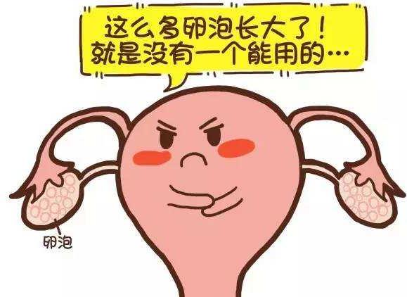 多囊的姐妹，为什么减肥这么难？有没有多囊姐妹发现：闺蜜少吃几顿就瘦10斤，你运