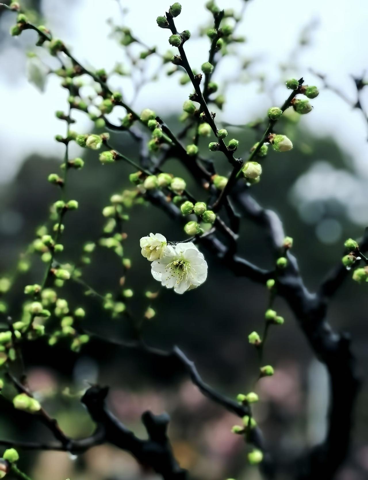 很多年后你会发现，曾经以为刻骨铭心的痛，早已无关痛痒；曾经以为会念念不忘的人，不