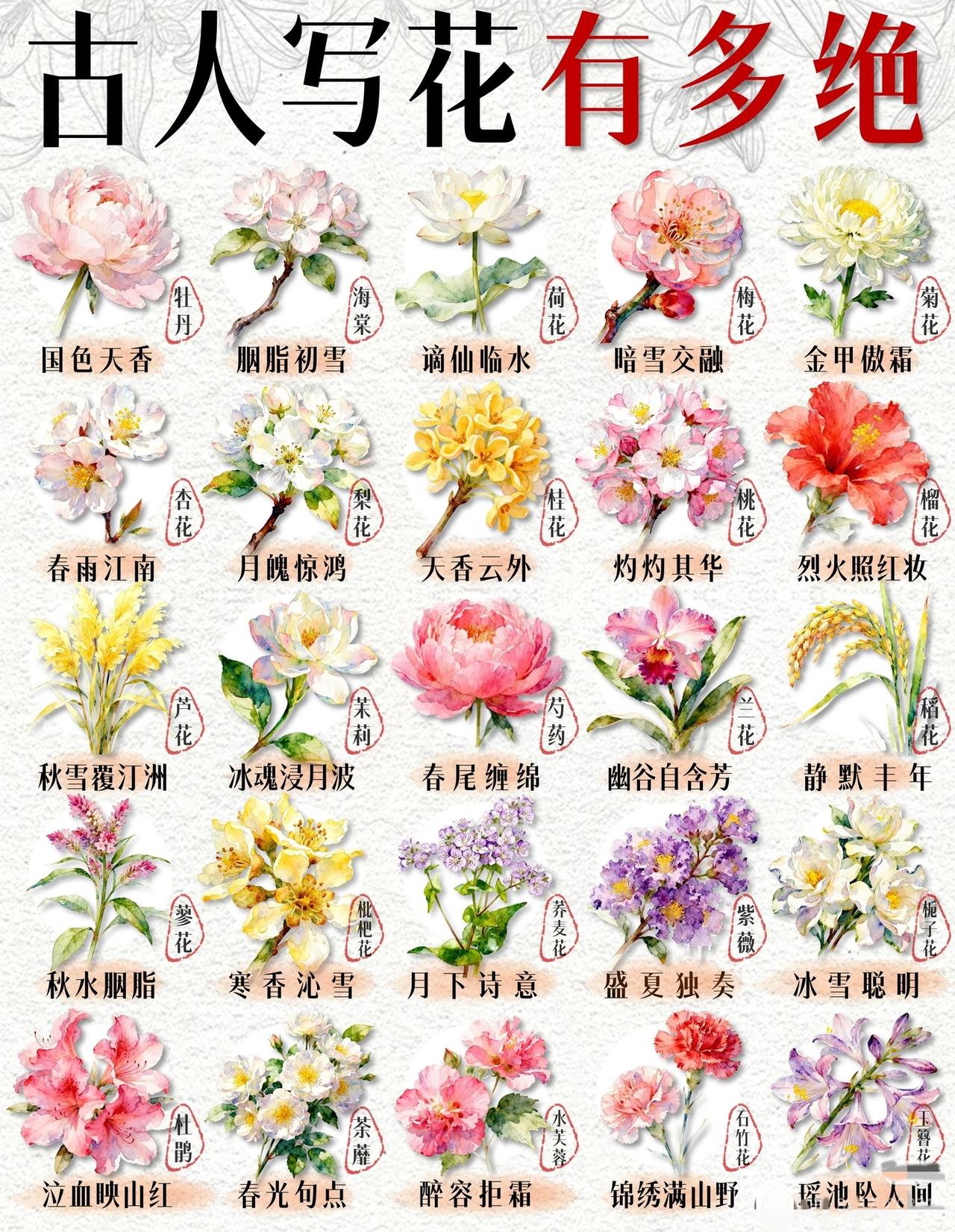 古人给花取的名字，美到能当文案！20种花卉雅称图鉴，收藏直接用你还在说“这花