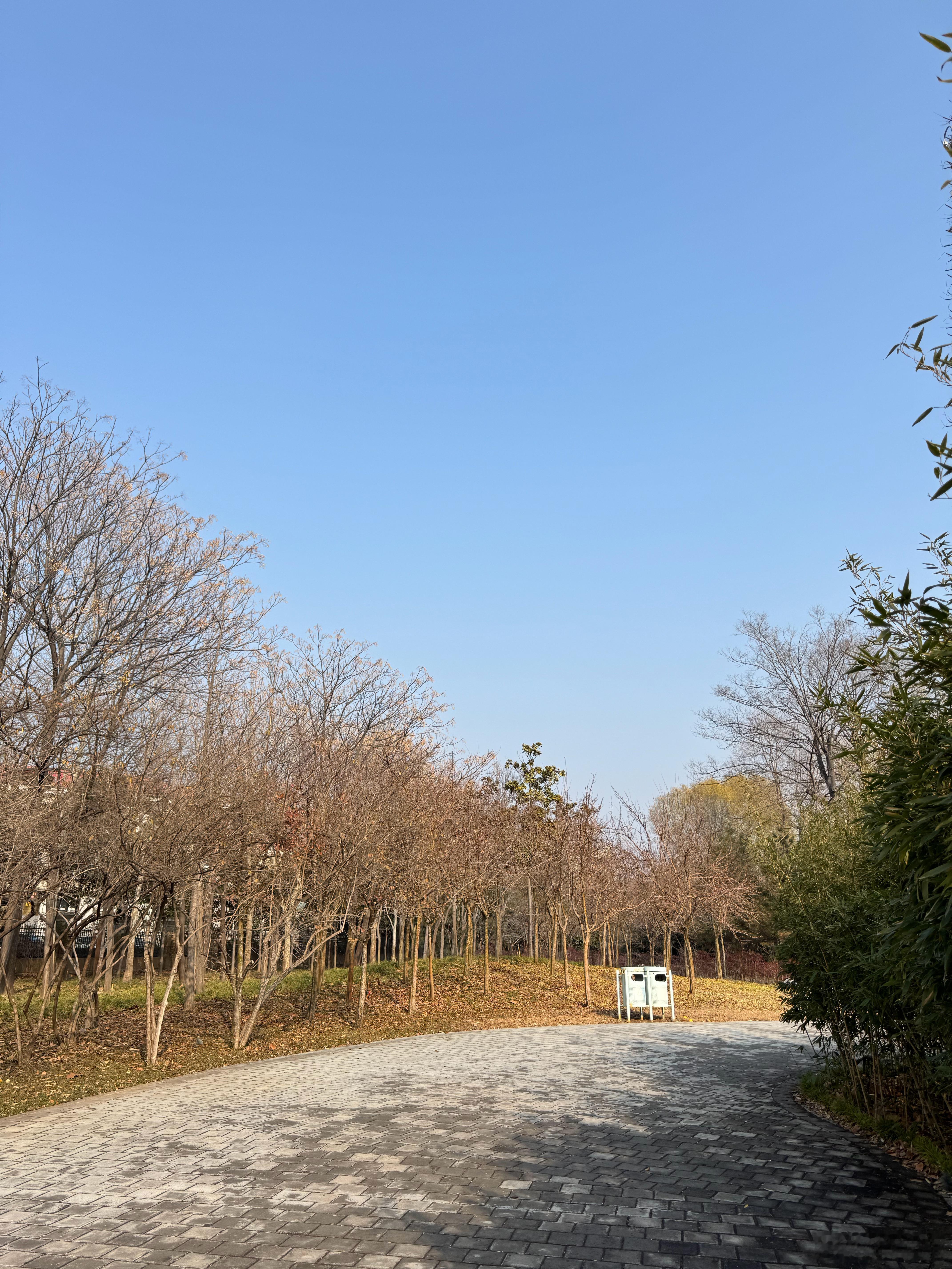 跑步终于回到了家门口的跑道上，完成了期待已久的5000米跑步，配速达到了7:5