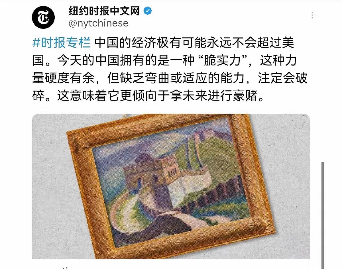 美媒出来给我们泼冷水了！5月13日，《纽约时报》刊登了一篇评论文章，核心观点很