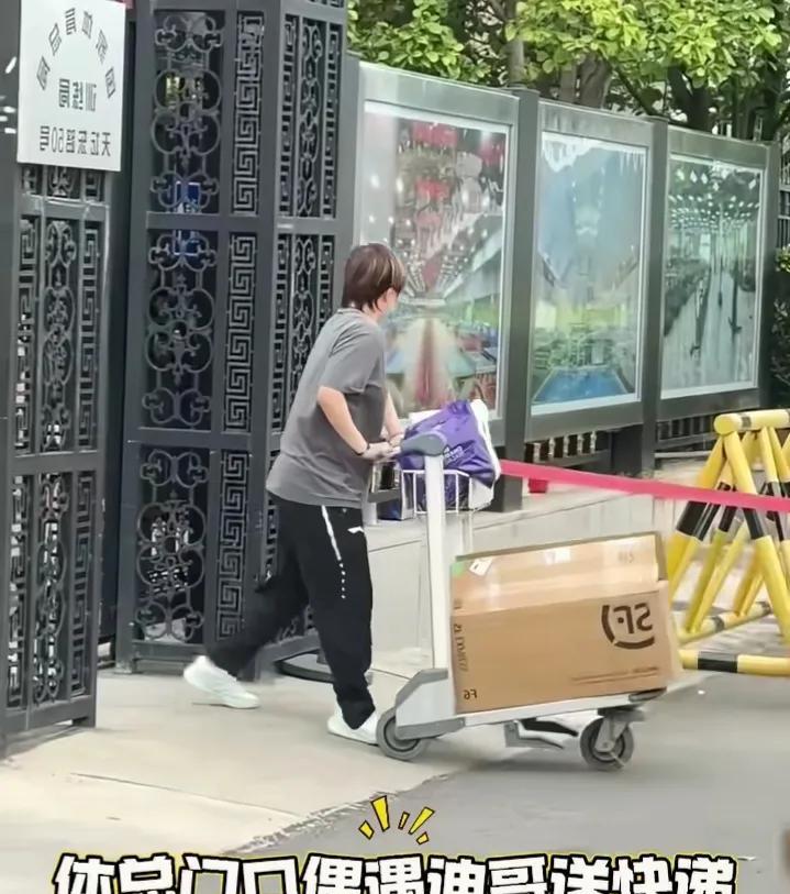 体育总局遇到迪哥帮快递小哥拉快递。不愧咱迪哥一人就抬起来一个大箱子。她很轻松给快