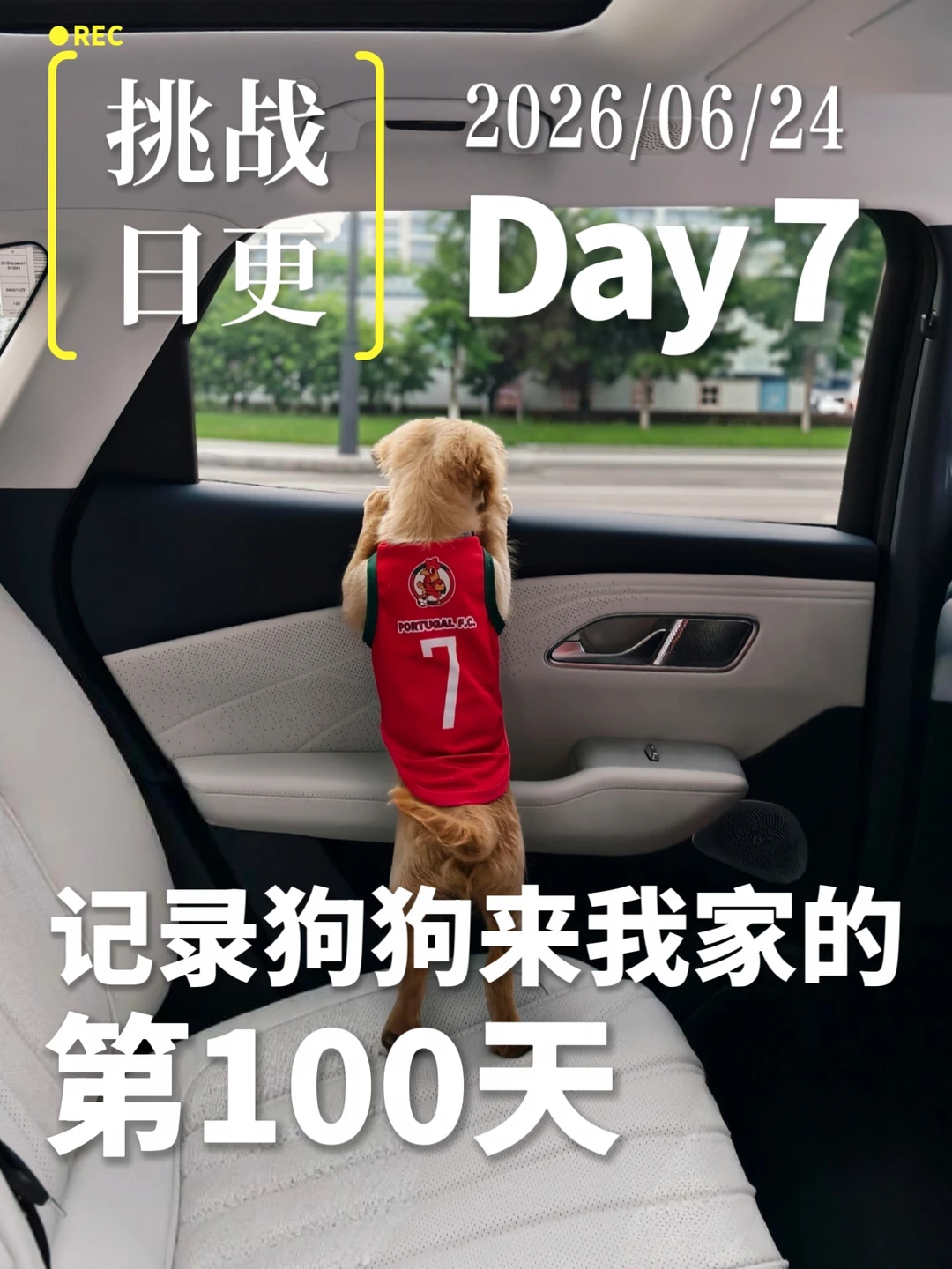 小黄可真有勇敢呀～🐶