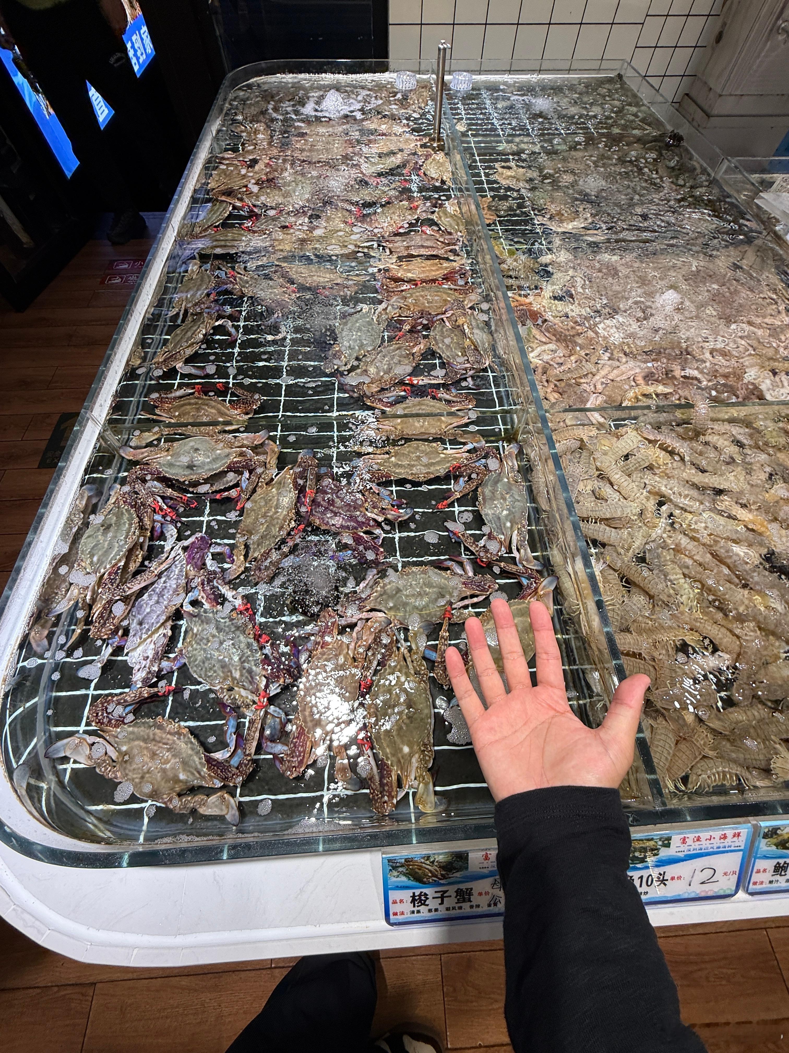 吃海鲜，不长肉中秋​​​
