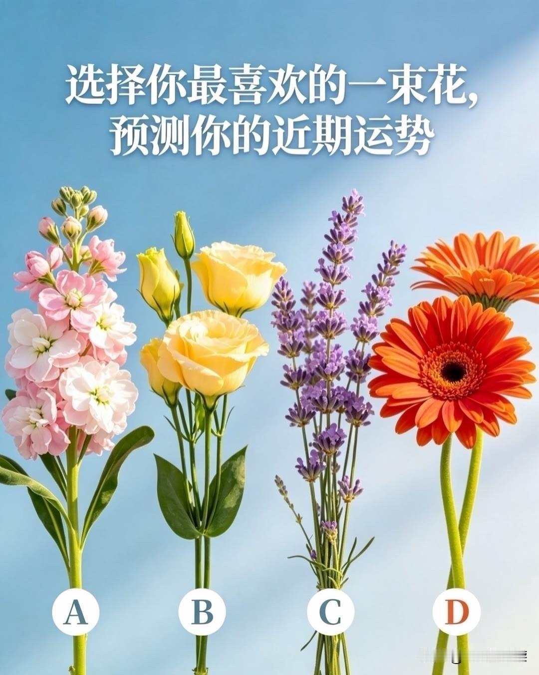 十万级大六座星光L真材好料选择你最喜欢的一束花,预测你的近期运势