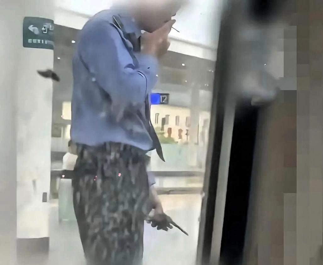 说真的，D1989列车这事儿，别再被“正义举报”的幌子骗了。沈女士拍了员工在站台