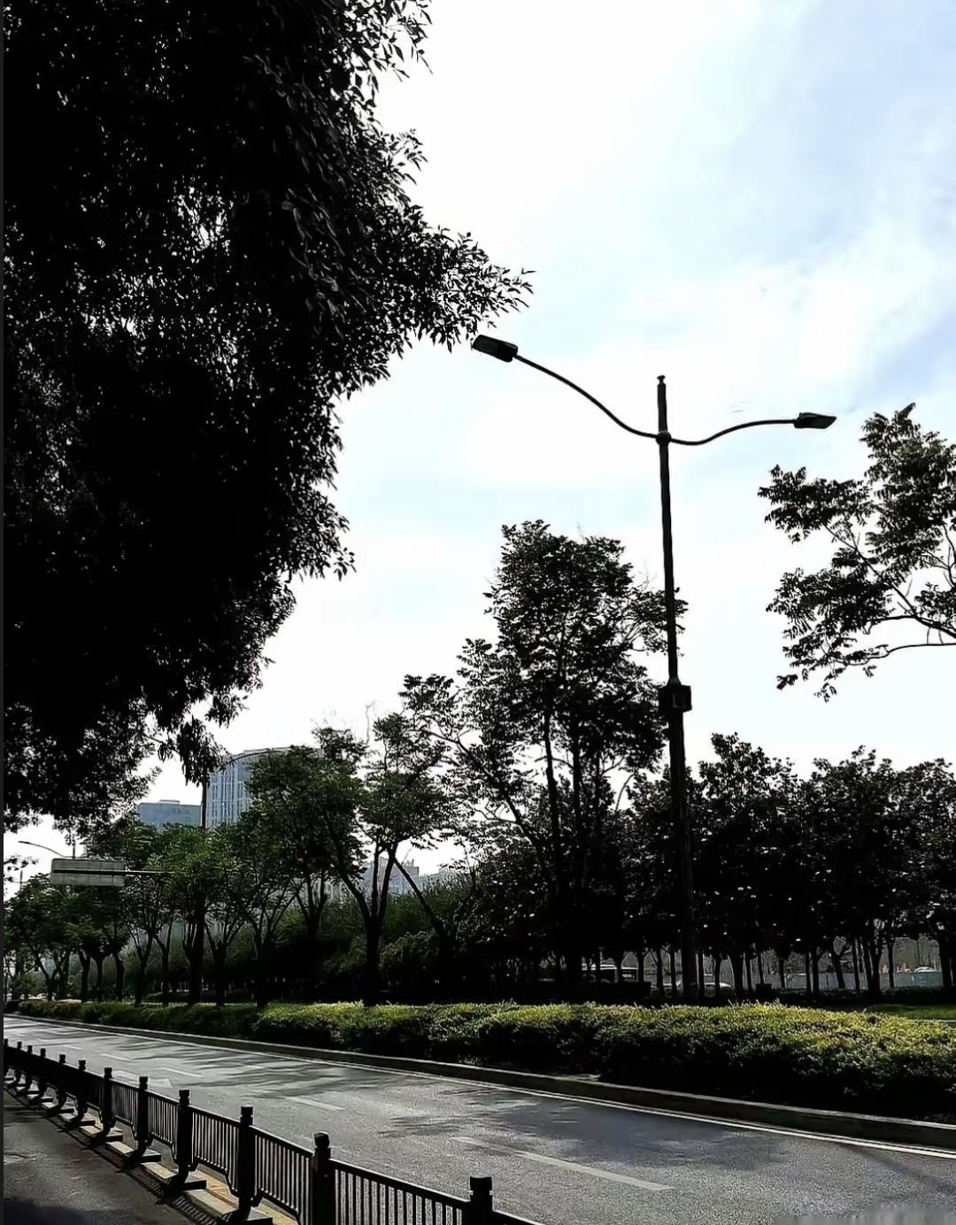 爸妈那套“考高分才有出路”突然不灵了，我儿子昨天用半小时干完我三天活。昨天