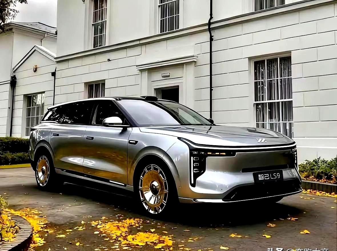 王励勤、刘国梁明白，樊振东回归对国乒发展至关重要。马龙淡出，迫切需要樊振东扛起