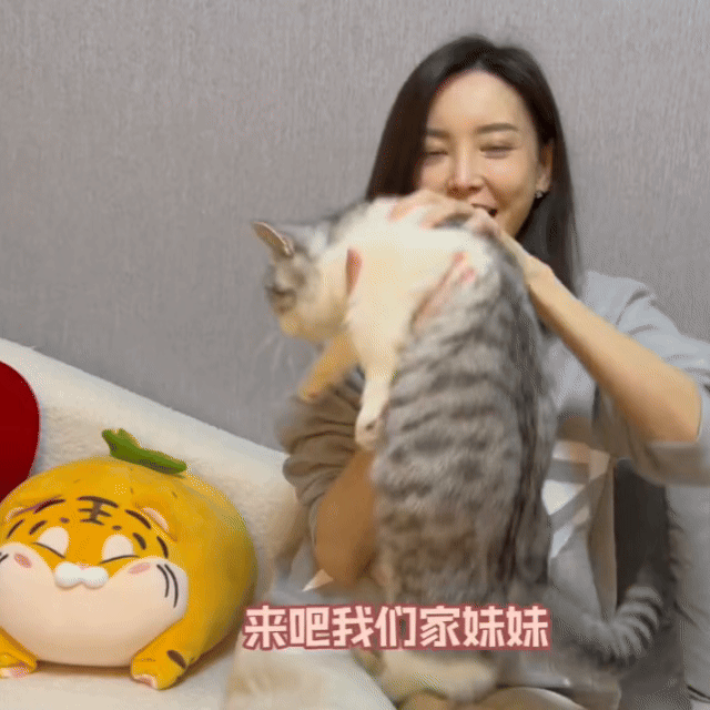 于文文好一个猫宝女于文文对小猫咪也太好啦吧！穿衣服时小心翼翼，亲亲时软乎乎的，这