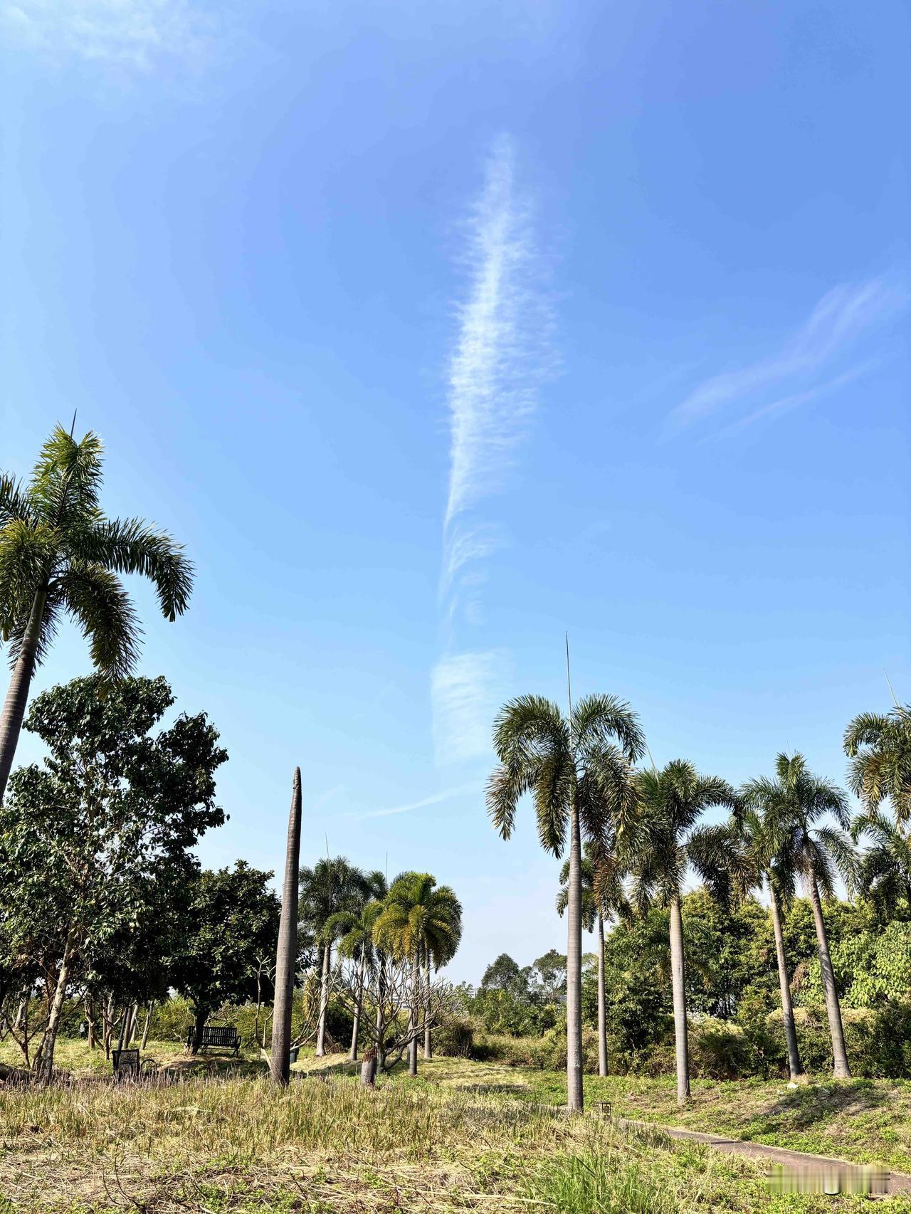 查理·芒格：“无聊是财富滋长的绝佳土壤。”很多人都不理解。其实芒格告诉