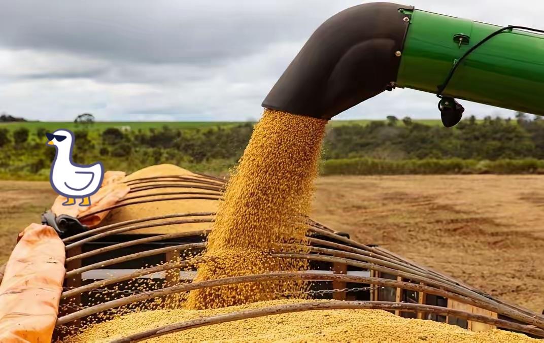 2500万吨大豆订单落地！中国这波操作，直接重塑全球农产品格局！美方刚官宣