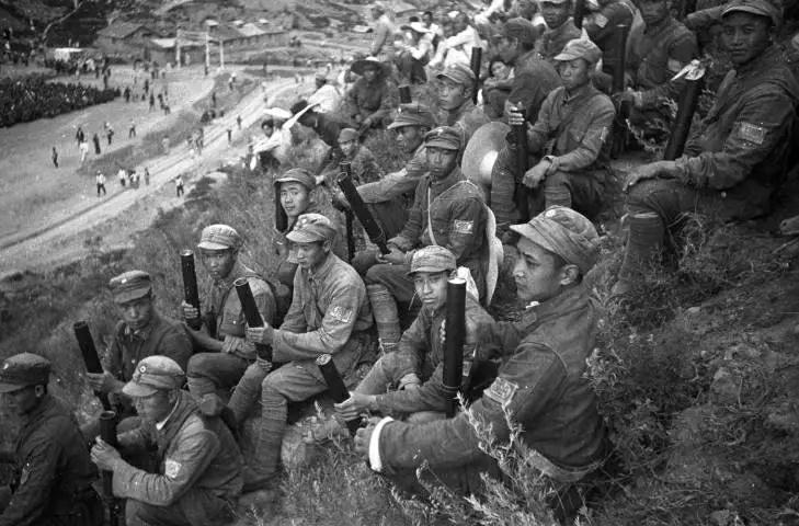 1942年冬，太行山深处，八路军某部刚打完一场伏击战，缴获了几头日军留下的生猪。