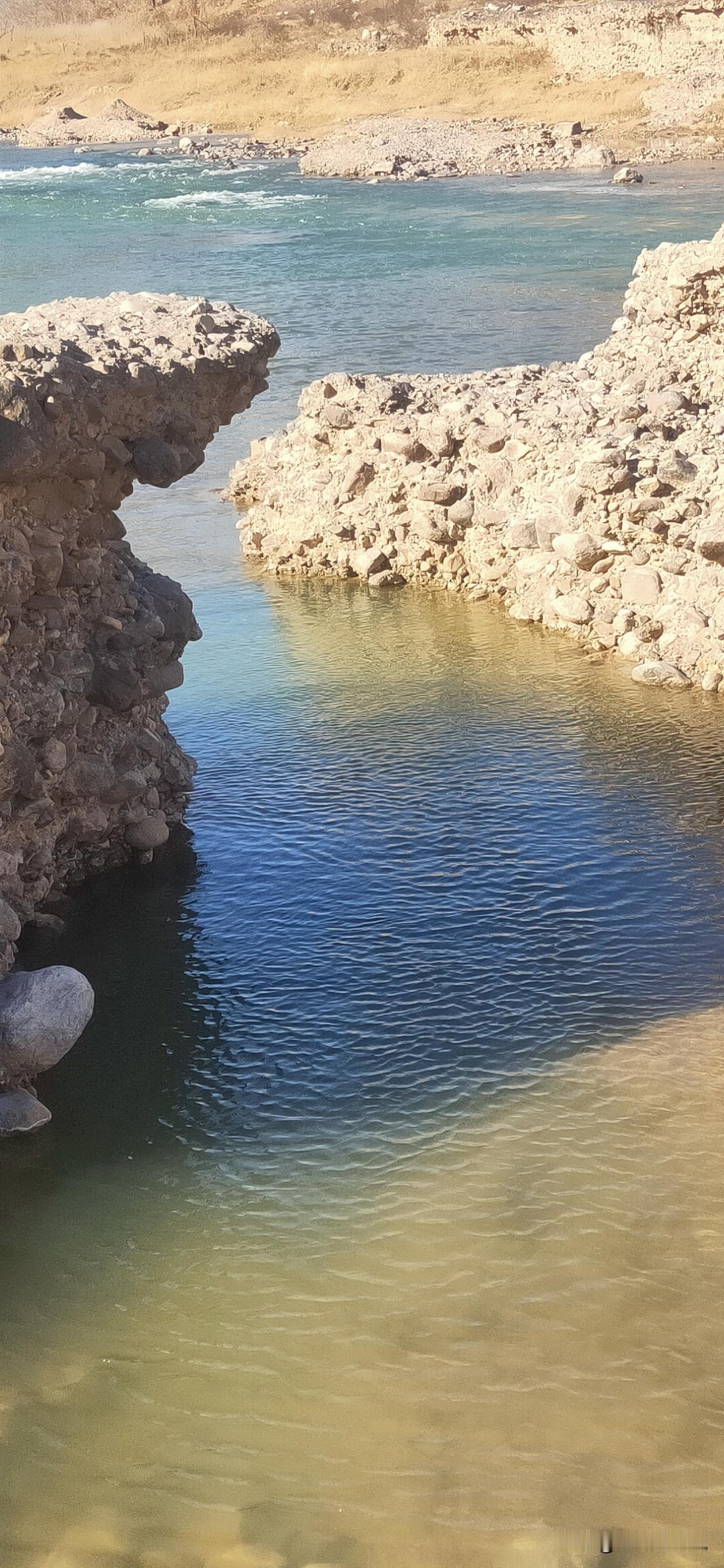 吃罢中药打点滴，打罢点滴骂西医，康复之后夸中医不知道现实中这样的人多不多如今