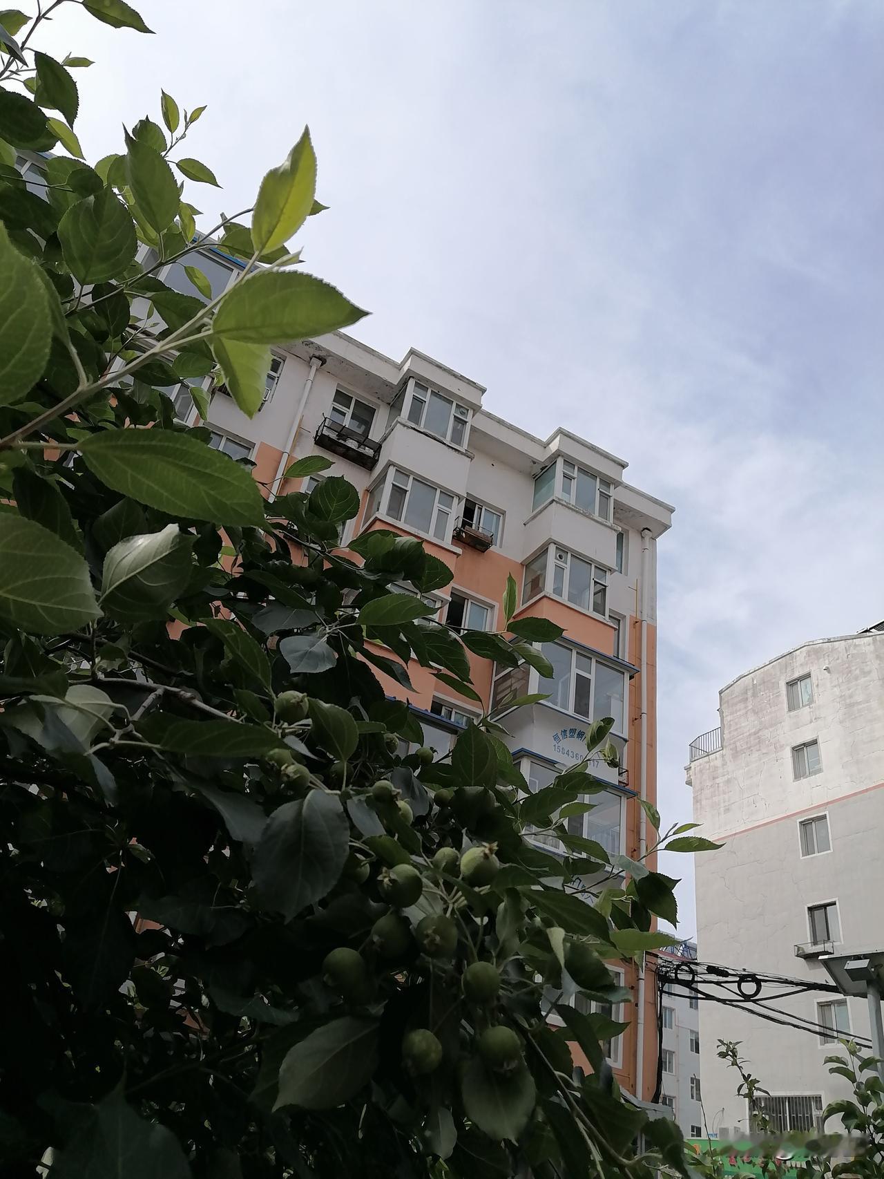 今天儿子来了，领着孙女来我家玩，但我们弄得不太愉快。 昨天就约好了，儿子要带