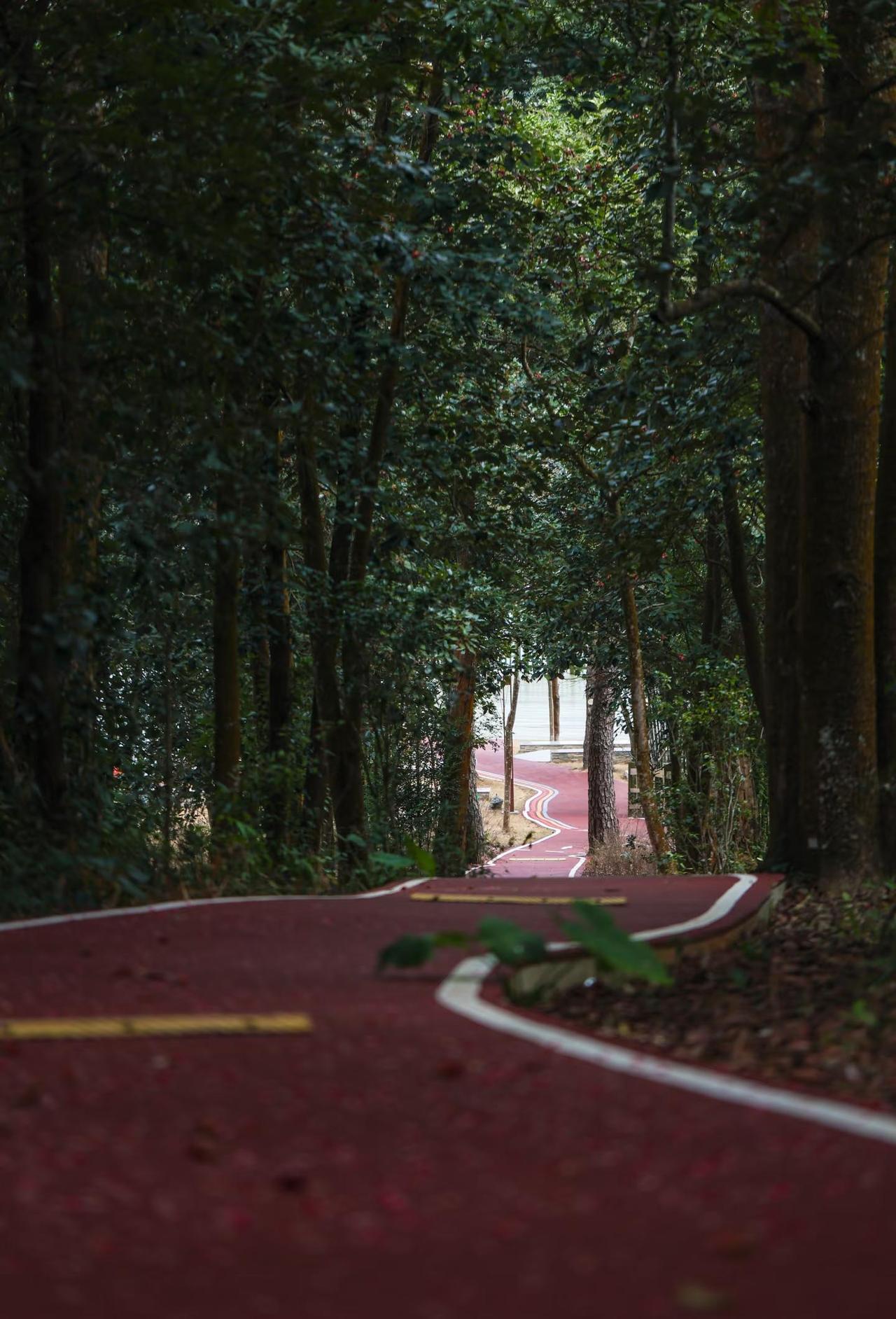 流溪河森林公园｜22个翡翠般的岛屿壮丽景观在广州这座繁华都市的边缘，流溪河国家