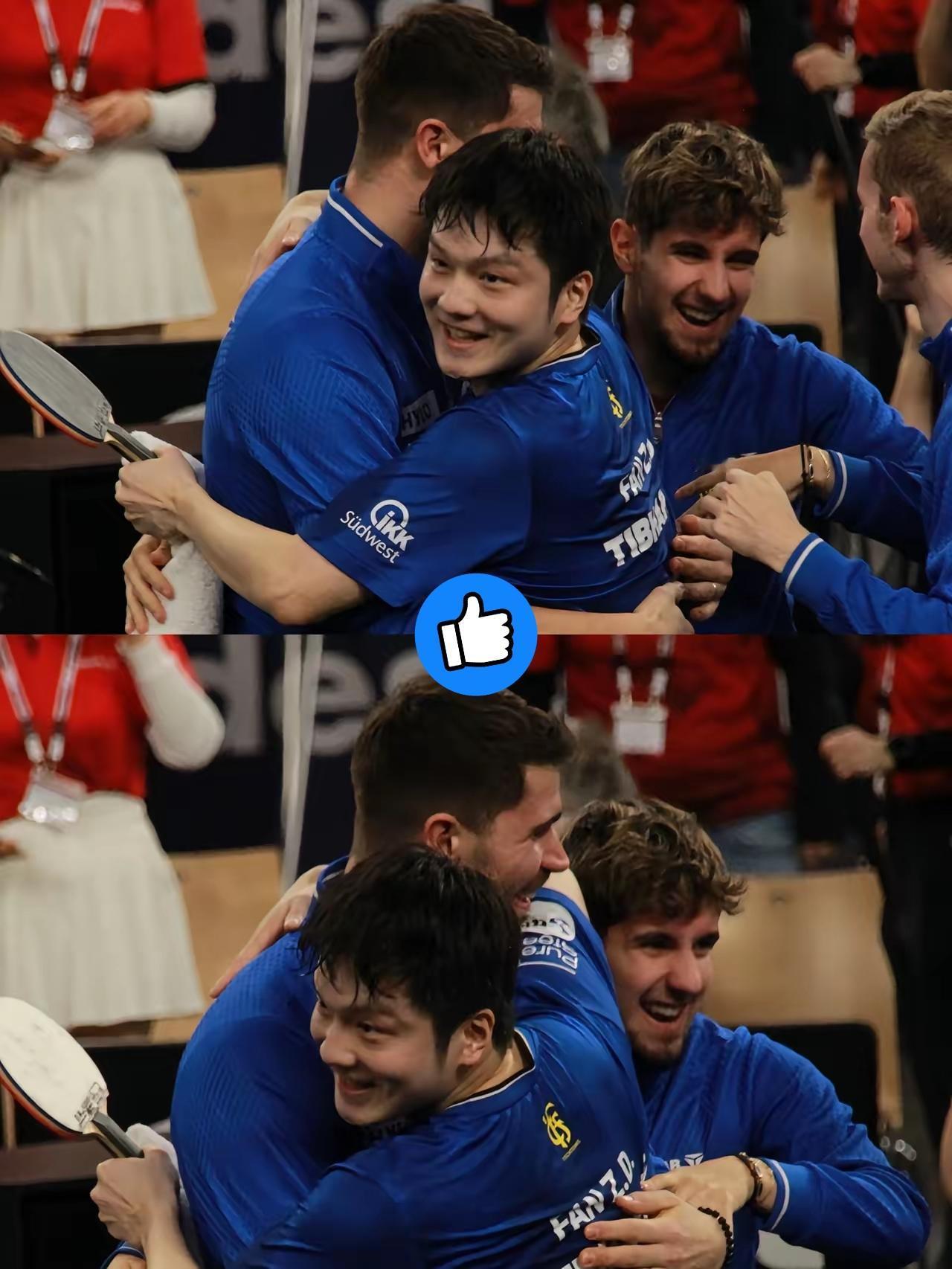 谁懂啊！樊振东这波“留洋首冠+MVP”的双重暴击，球迷连夜嗨到睡不着！这哪是赢球