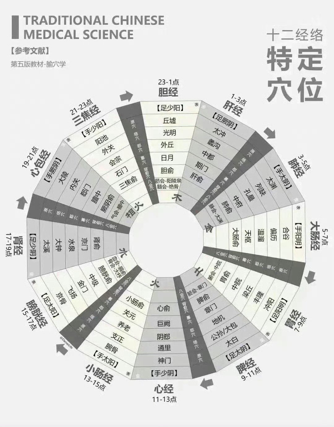 中医基础理论思维导图​​​