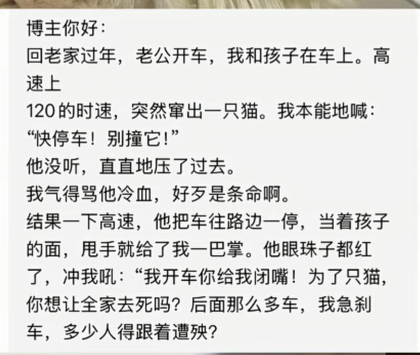 这巴掌挨得不委屈