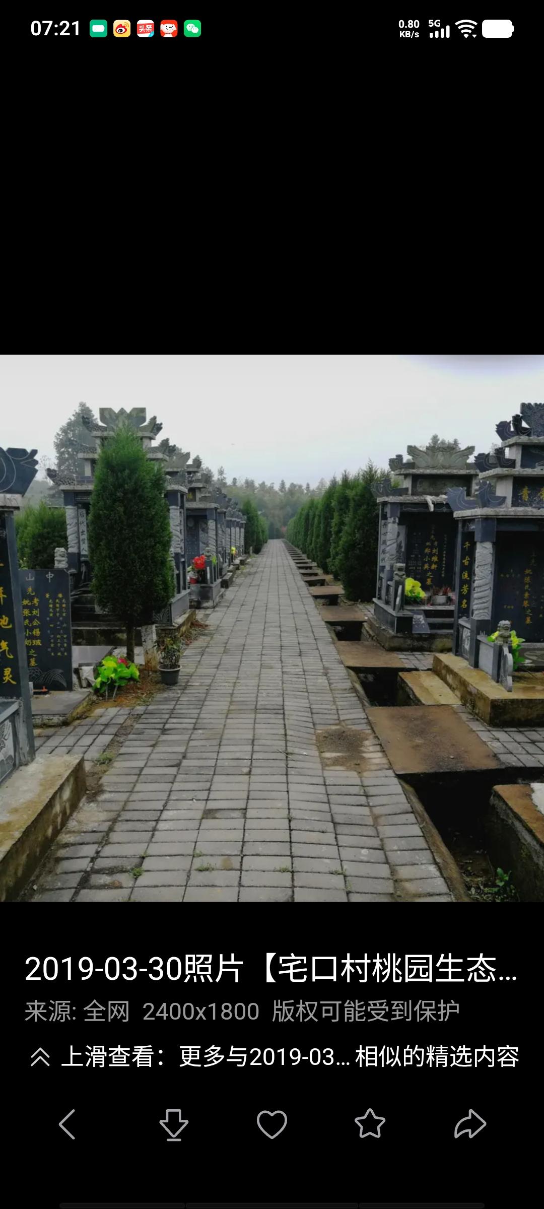 一个男生连续七年帮女同学上坟，没有对她的喜欢，不会无缘无故去做这些，你的行为必有