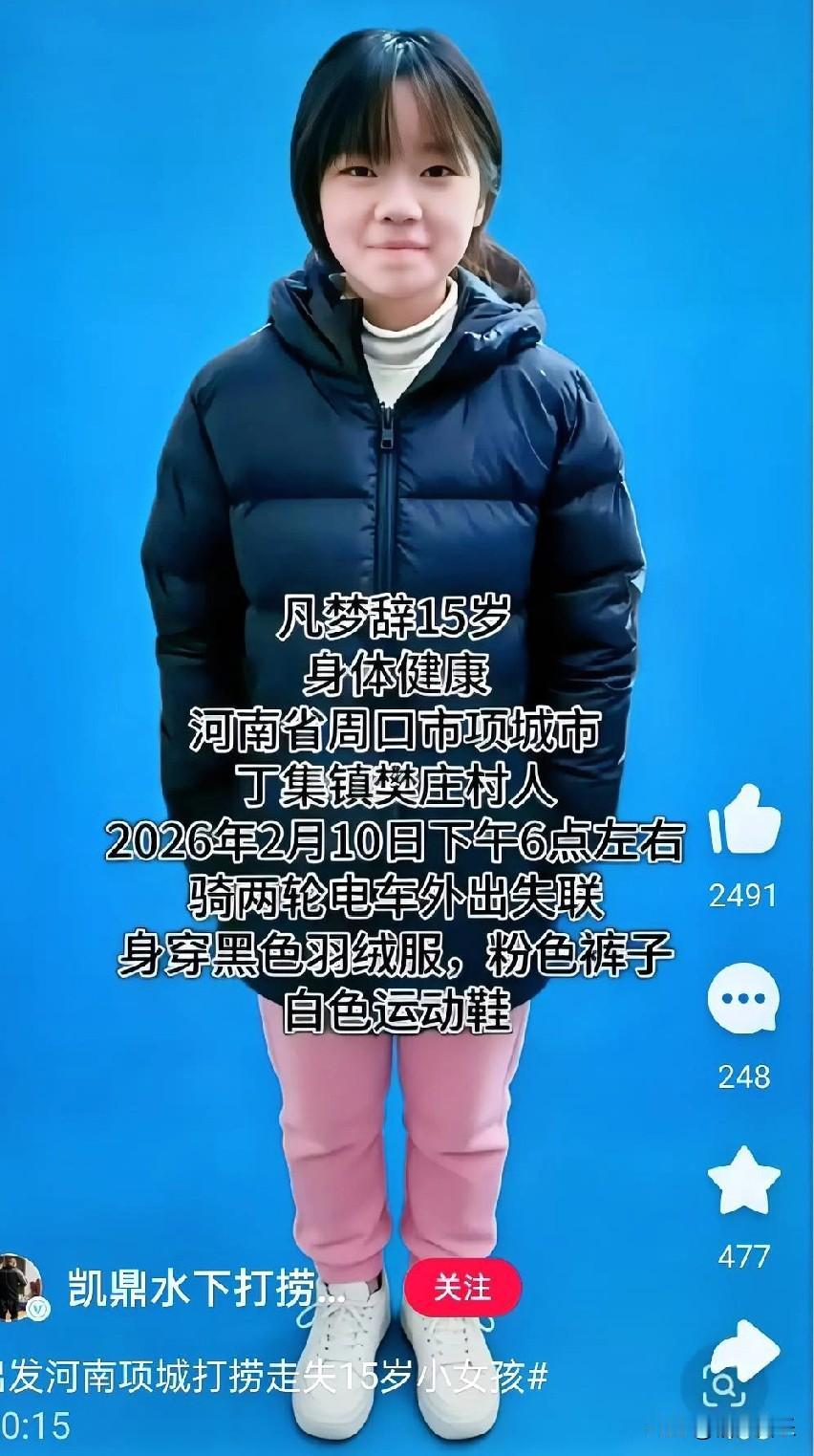 河南项城15岁的小姑娘凡梦辞，原因是跟姐姐拌了几句嘴，大晚上骑着电动车离家，从此