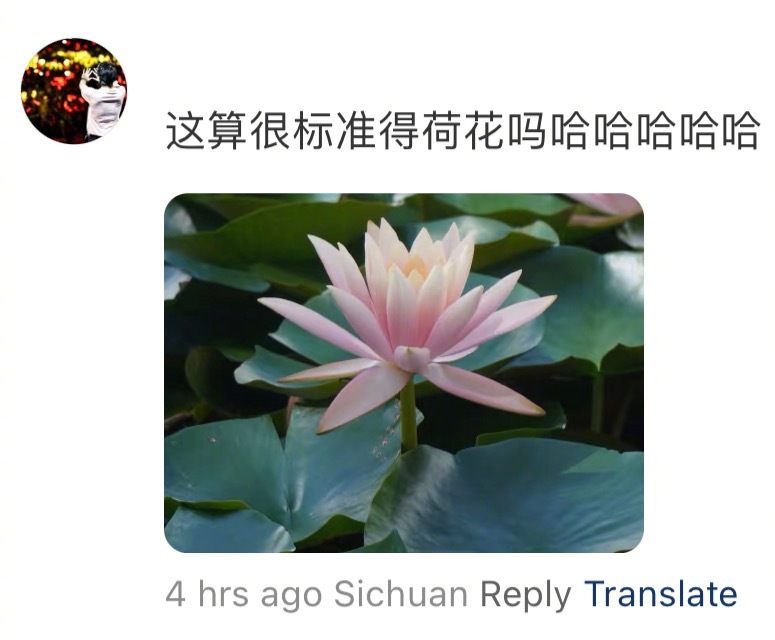 生活中长得很标准的东西[doge]​​​