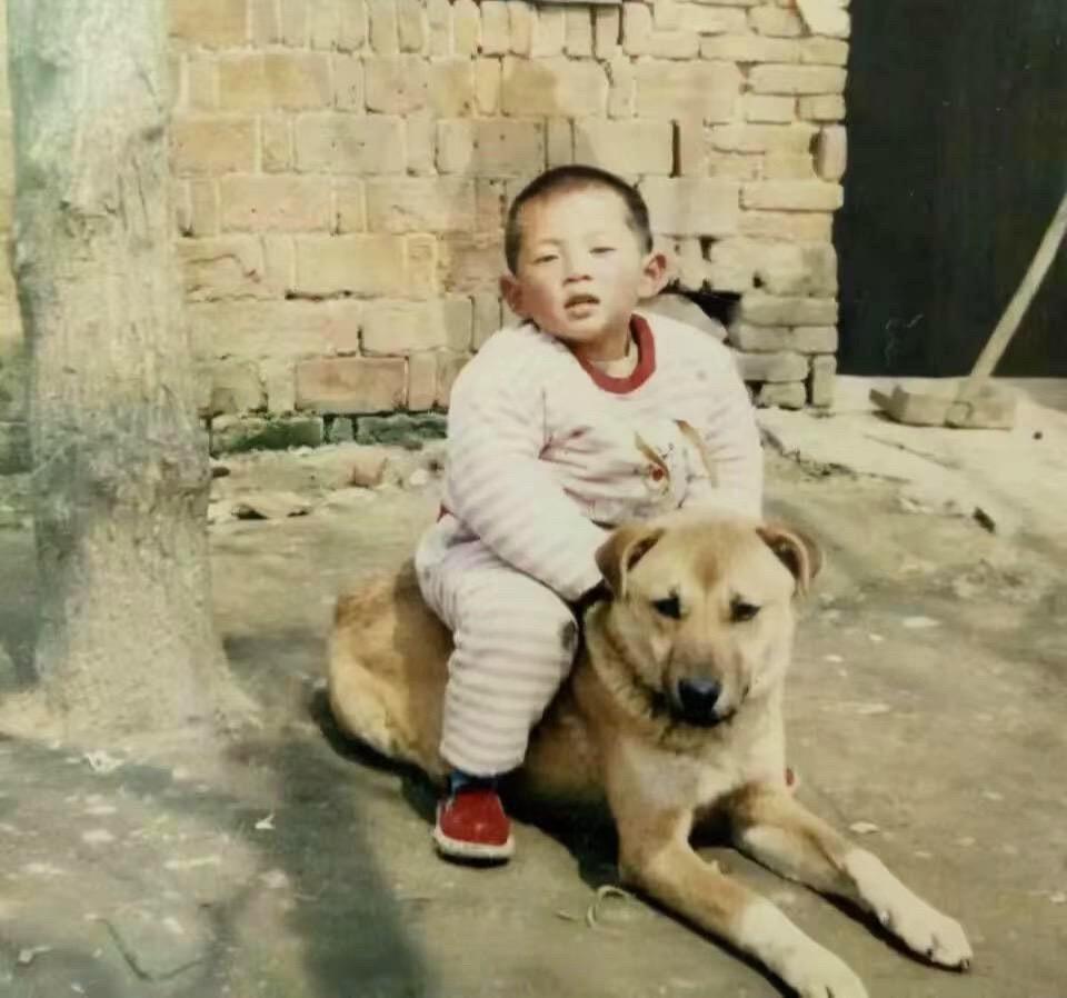 这是湖北网友小时候和奶奶家养的大黄狗的珍贵合照，图中大黄是湖北的土狗，按常理来说
