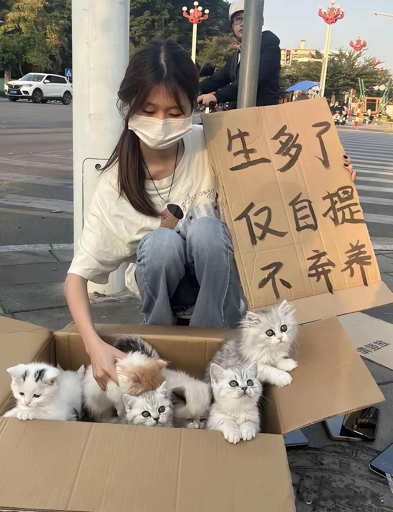 不懂就问，换做你们碰到，会不会领养？